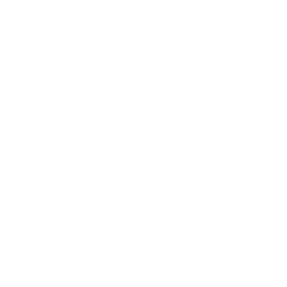 CocaCola