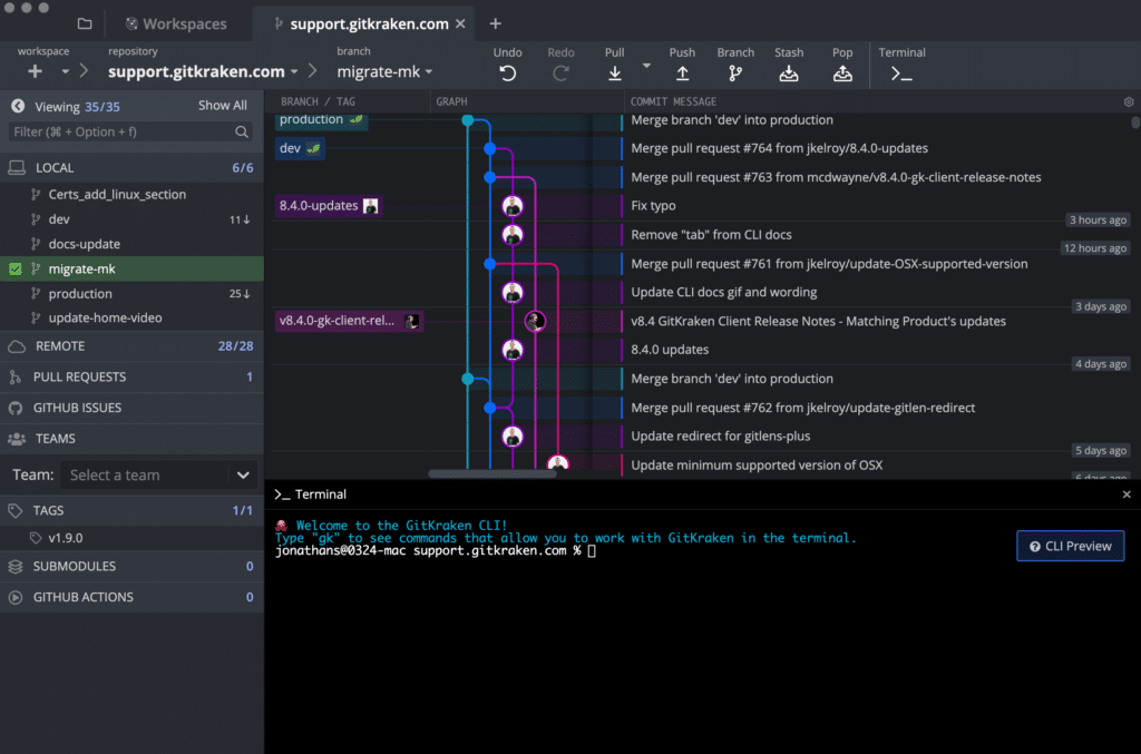 an open Terminal Panel in a GitKraken Client Repo Tab