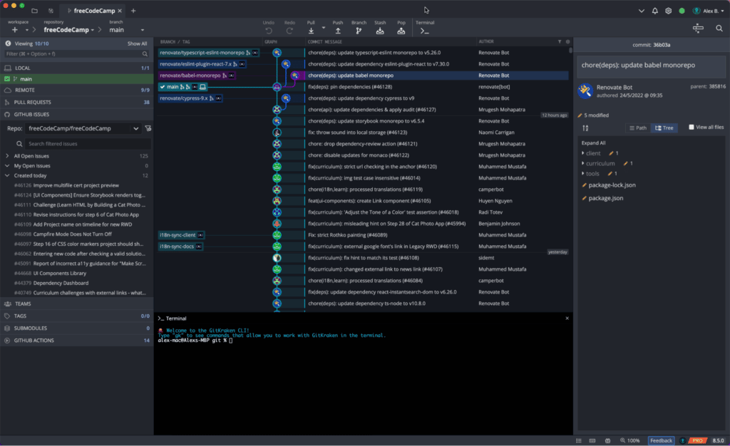 freeCodeCamp repo displayed via GitKraken Client