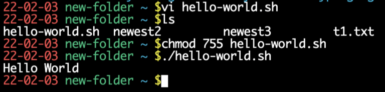 Shell Scripting | Intro to the CLI Part 5
