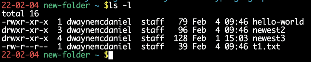 Running ls -l command.