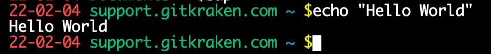 Running echo "Hello World" in the terminal