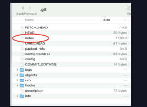 Learn How to Use the Git Add Command | All, Interactive, Undo
