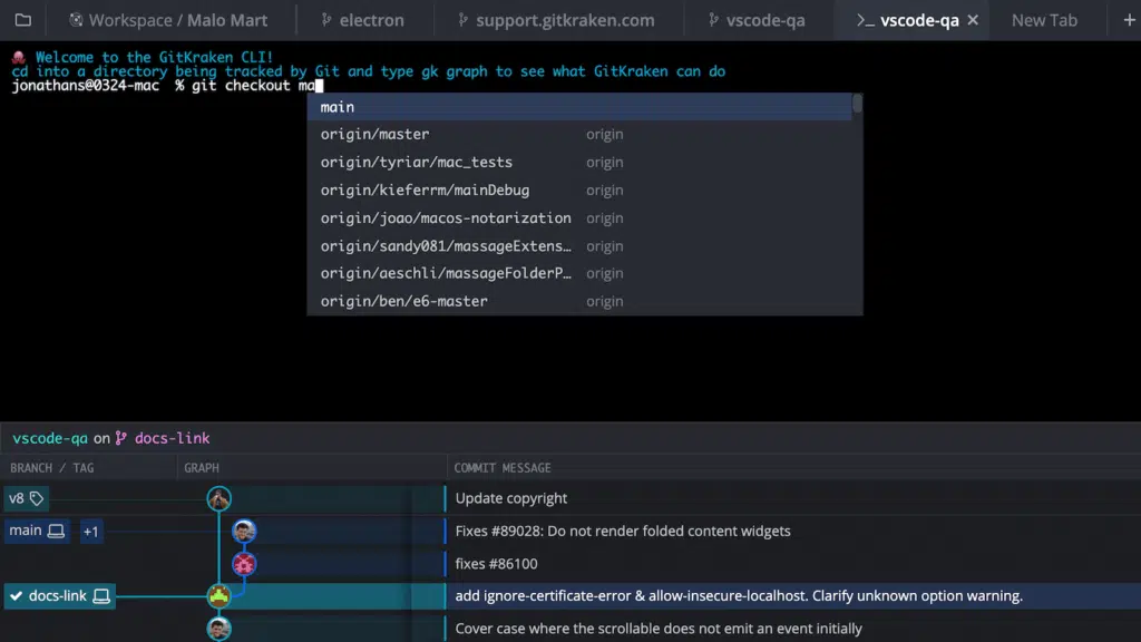 screenshot of the overview of GitKraken built-in terminal from GitKraken official website