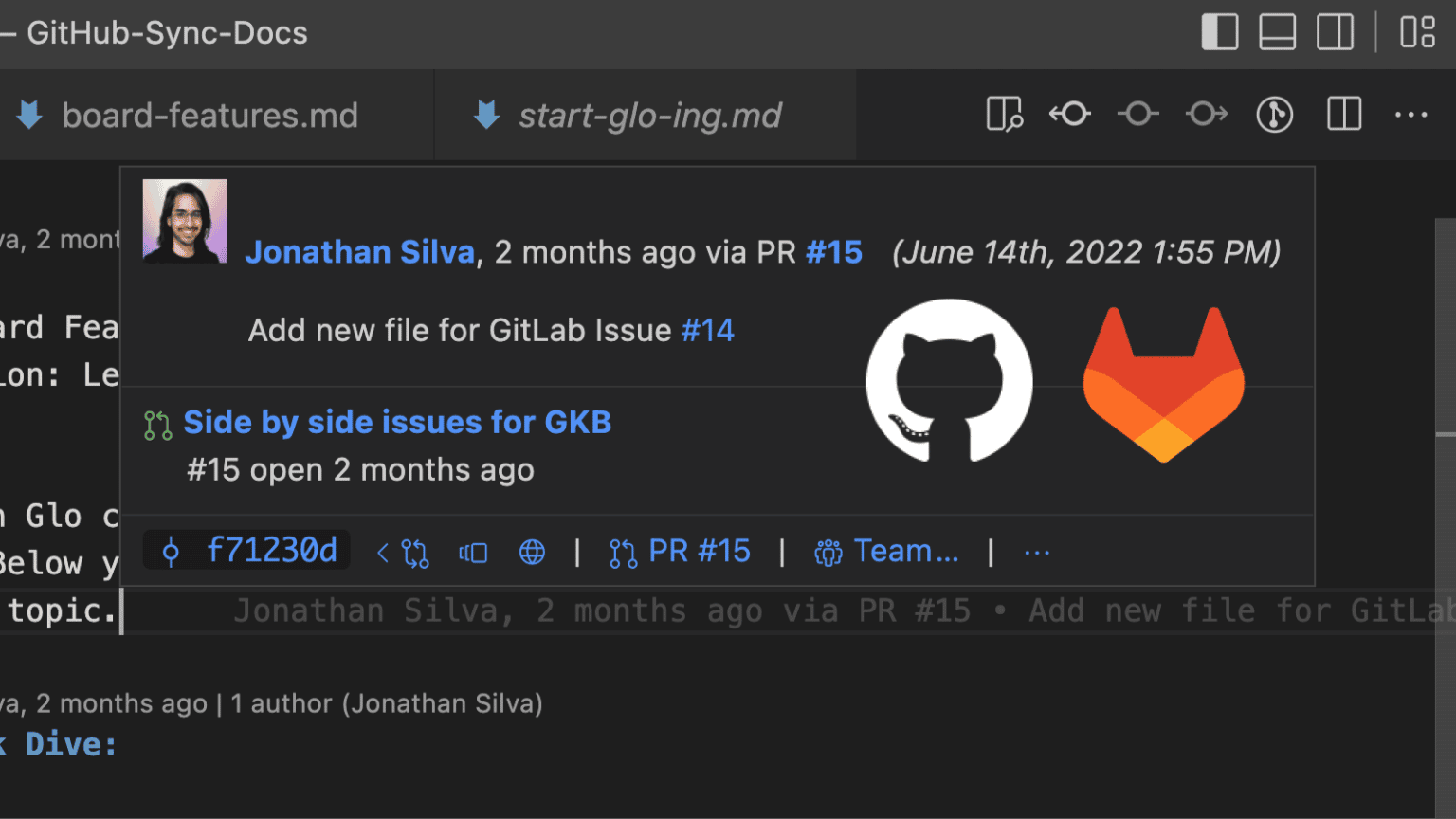 GitLens Pro Features