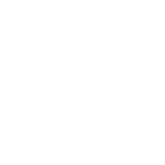 bose.png