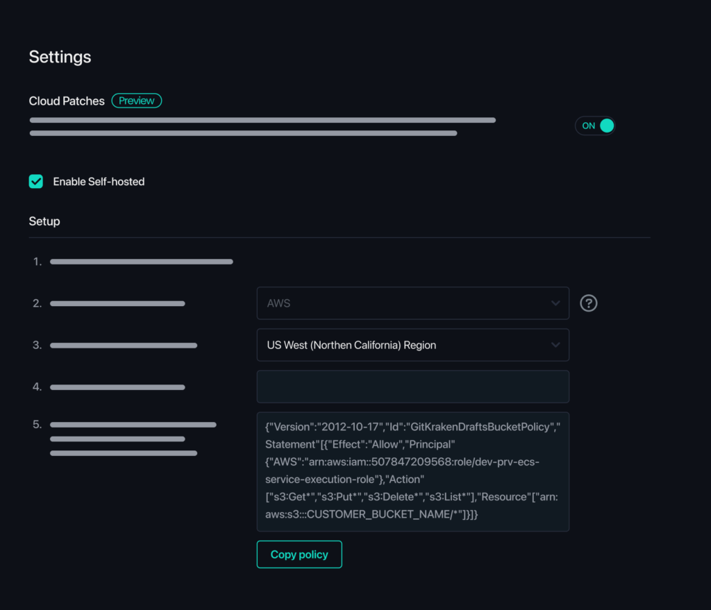 Self Hosted Cloud Patch Storage setting example