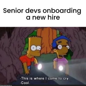 Senior developers onboarding a new hire meme